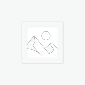 Songs (Music + Vocals)